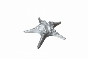 Фигурка Starfish Silver | Статуэтки и скульптуры