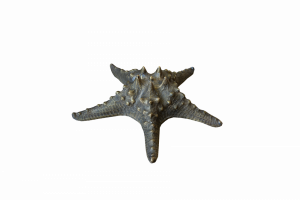 Фигурка Starfish Bronze | Статуэтки и скульптуры