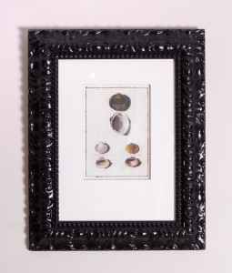 Настенный декор Seashell One  | Картины и настенный декор