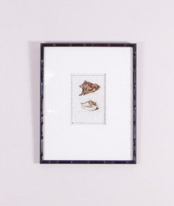 Настенный декор Seashell Three | Картины и настенный декор